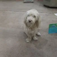 اهواز باهنر کوی ایثار خیابان ۱۲ ایثار