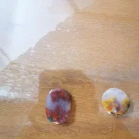 شجر|بدلیجات|یزد, |دیوار