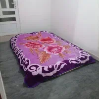 سوئیت|اجارهٔ کوتاه‌مدت آپارتمان و سوئیت|گرگان, |دیوار
