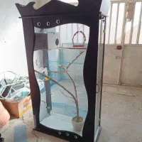 قفس|لوازم جانبی حیوانات|الیگودرز, |دیوار