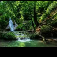 پیاده روی و گردشگری