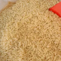 برنج امساله رسید، فجر سوزنی گرگان، هاشمی، دم سیاه|خوردنی و آشامیدنی|اسلام‌شهر, شهرک قائمیه|دیوار