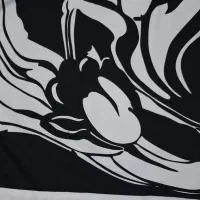 شال|لباس|مشهد, چهارچشمه|دیوار