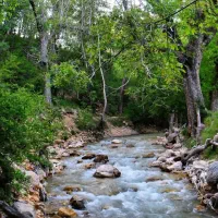 باغ رویه بال وسط شهر اردکان منطقه بکر