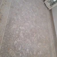 قالی ۱۲ متری