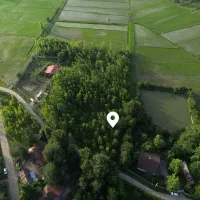 ۳۳۶ متر تمام مسکونی-سند تک برگ -دوبر