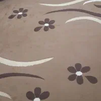 کلیم