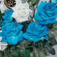 رز خارجی