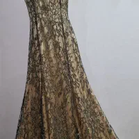 ماکسی مجلسی