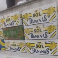 کارتن موزی نو نو دارای فوم و روزنامه