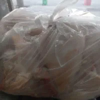 مرغ کشتار روز ،به قیمت روز عمده|خوردنی و آشامیدنی|کرمانشاه, |دیوار