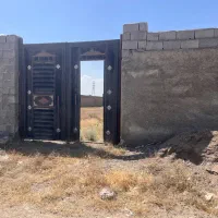 زمین-باغی