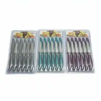 چاقوی میوهخوری|ظروف سرو و پذیرایی|قم, آزادگان|دیوار