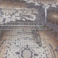 ابچکان سالم