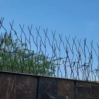 فروش و نصب حفاظ شاخ گوزنی