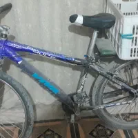 دوچرخه ویوا