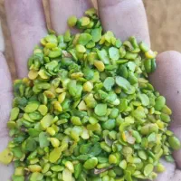 مرکز خرید بنه زارع