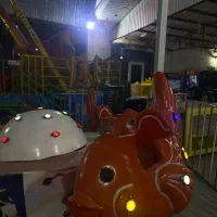 دستگاه شهربازی کفگرد ماهی