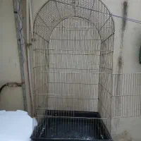 قفس طوطی سانا