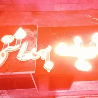 ال ای دی شوینده بهداشتی