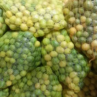 ترکیبات گیاهی ودارویی، رژیمی با طب اکبری|آرایشی، بهداشتی، درمانی|کرمانشاه, |دیوار