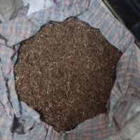 کشمش قوچان درجه یک تازه