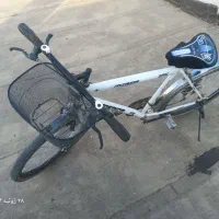 دوچرخه۲۶|دوچرخه، اسکیت، اسکوتر|مشهد, شهید قربانی|دیوار