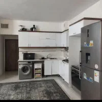 همخونه میخوام
