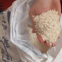 فروش فوری برنج