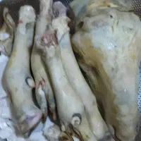 گله پاچه