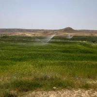 زمین کشاورزی قصرشیرین