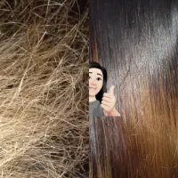 نیازمندمدل برای زلف وبافت