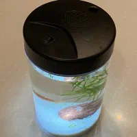 گوپی خراک و مولد و پیش مولد|ماهی|یزد, |دیوار