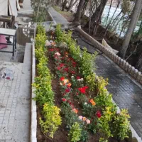 خدمات باغبانی باغچه کاری کوددهی هرس درختان کاشت گل