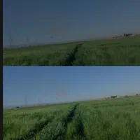 فروش زمین کشاورزی