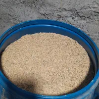 تخم جو هاشمی گرم