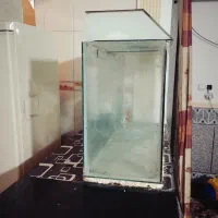 آکواریوم|ماهی|زابل, |دیوار