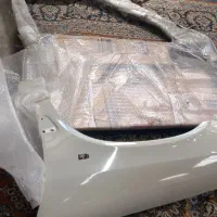 پوسته در و گلگیر