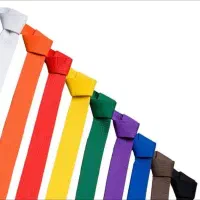 آموزش حرفه ای کاراته|خدمات آموزشی|تبریز, |دیوار