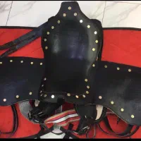 اسب . زین اسب|اسب و تجهیزات اسبسواری|بندرعباس, |دیوار