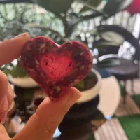 نبات|خوردنی و آشامیدنی|تهران, شهر زیبا|دیوار