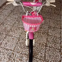 دوچرخه ۲۰دخترانه|دوچرخه، اسکیت، اسکوتر|رشت, معلولین|دیوار