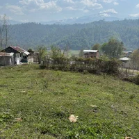 زمین فروشی|فروش زمین و ملک کلنگی|آلاشت, |دیوار