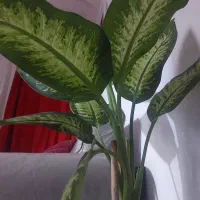 جابجایی  مسافر از بوشهر  به کل ایران