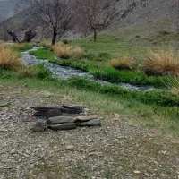 دربستی ماشین سواری