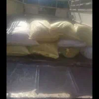 کود کبوتر یا کفتر خالص