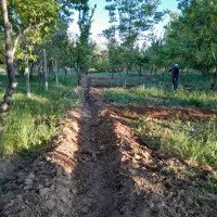 فروش-باغ-صفا