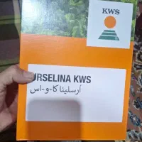 فروش انواع بذر چغندر|عمده‌فروشی|بیستون, |دیوار