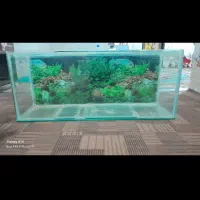 آکواریوم بزرگ