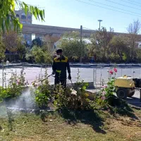 انجام خدمات باغبانی باغچه، هرس، کاشت|خدمات باغبانی و درختکاری|قم, وادی السلام|دیوار